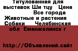 Титулованная для выставок Ши-тцу › Цена ­ 100 000 - Все города Животные и растения » Собаки   . Челябинская обл.,Еманжелинск г.